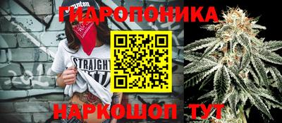 spice Краснокаменск