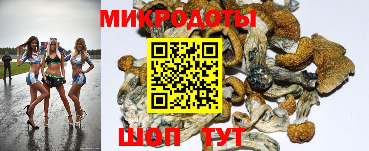 Псилоцибиновые грибы Psilocybine cubensis  где купить наркоту  Кириши  Вход с VPN 