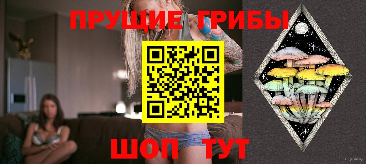Псилоцибиновые грибы мицелий Кириши