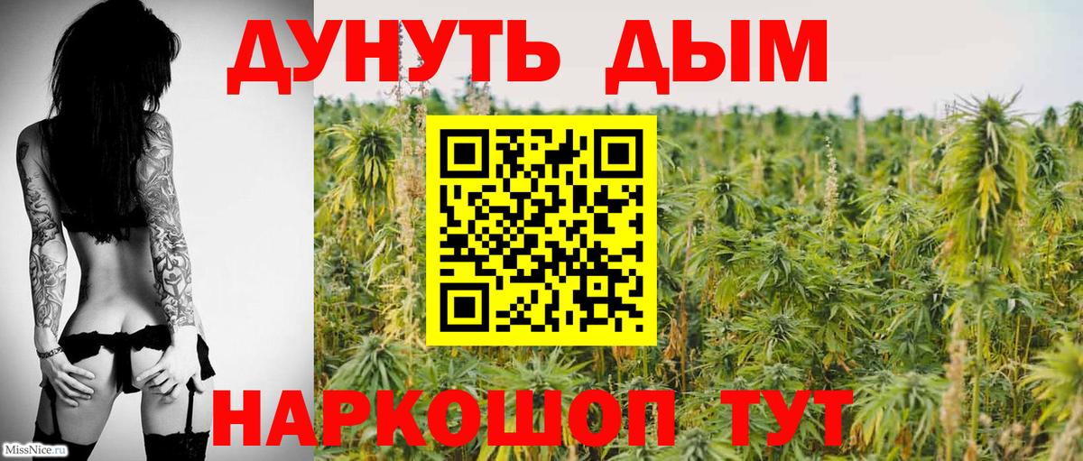Шишки марихуана Amnesia  Конопля гибрид  Кириши  Вход с VPN 